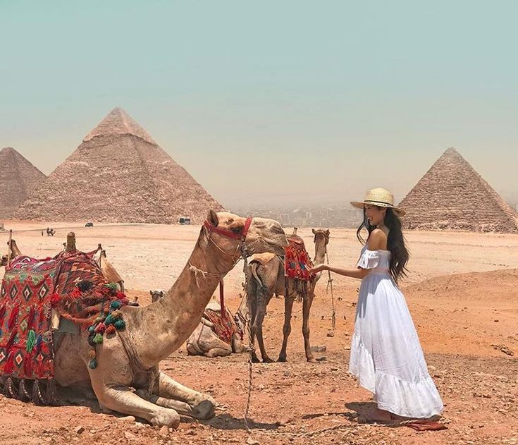 Экскурсии в Шарм-Эль-Шейхе, Хургаде, Марса-Алам от Egypt travel world