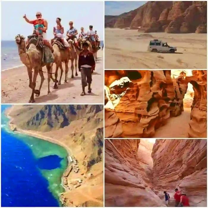 Заказать экскурсии в Египте
